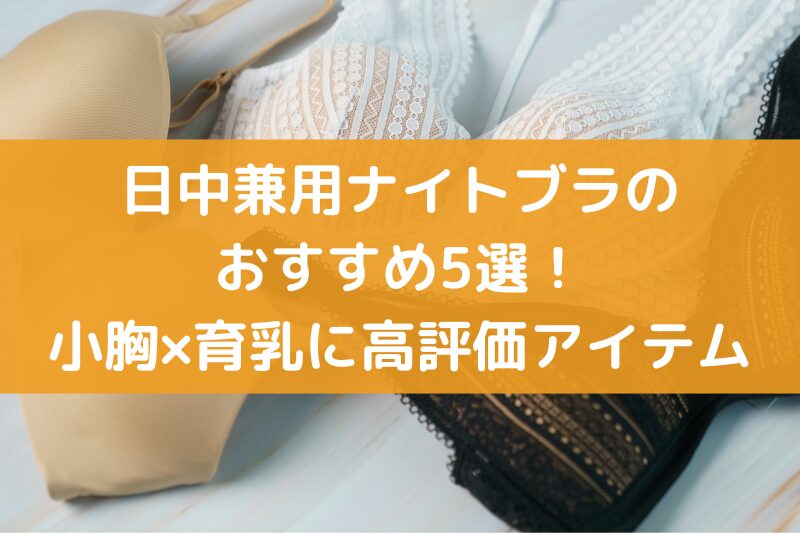 日中兼用ナイトブラ