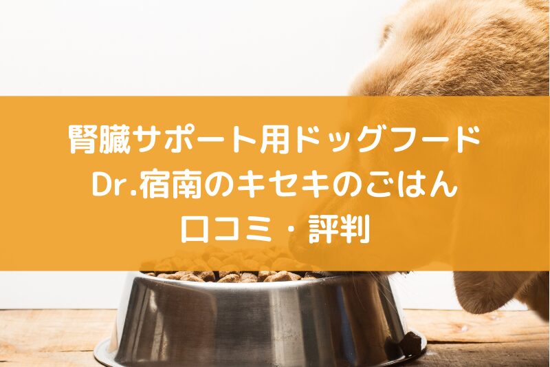 dr. 宿南 のキセキのごはん 口コミ ドッグフード